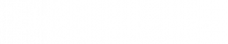 Health Information Network Logo
